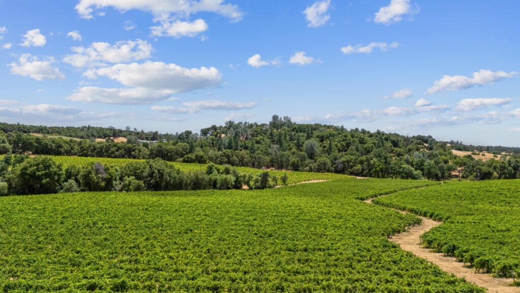 DJI_20250624133642_0065_D_DIAMOND-min-min